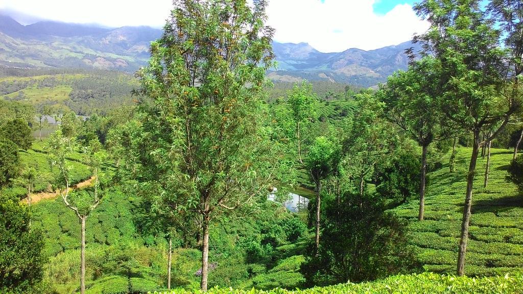 Ferndale Homestay 테카디 외부 사진